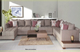 Salon coin Moderne