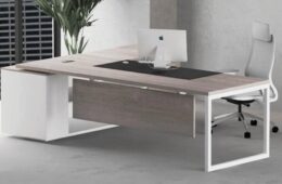 BUREAU MOON