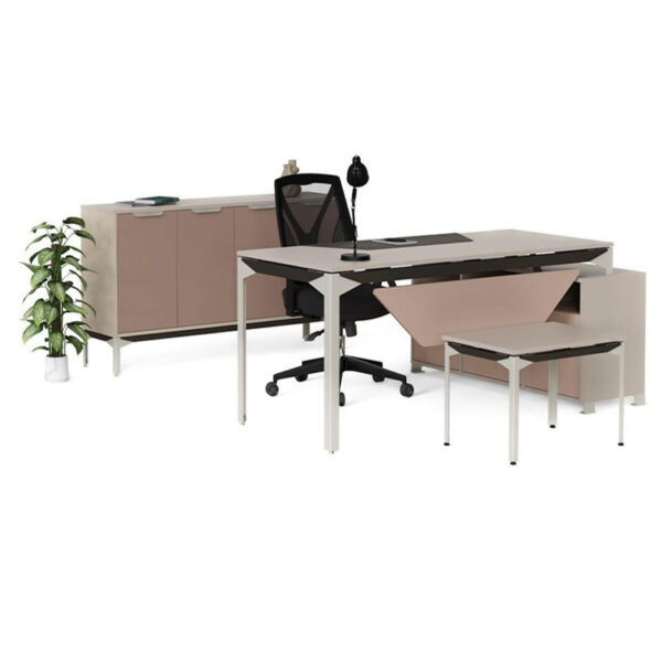 ENSEMBLE BUREAU ZELDA